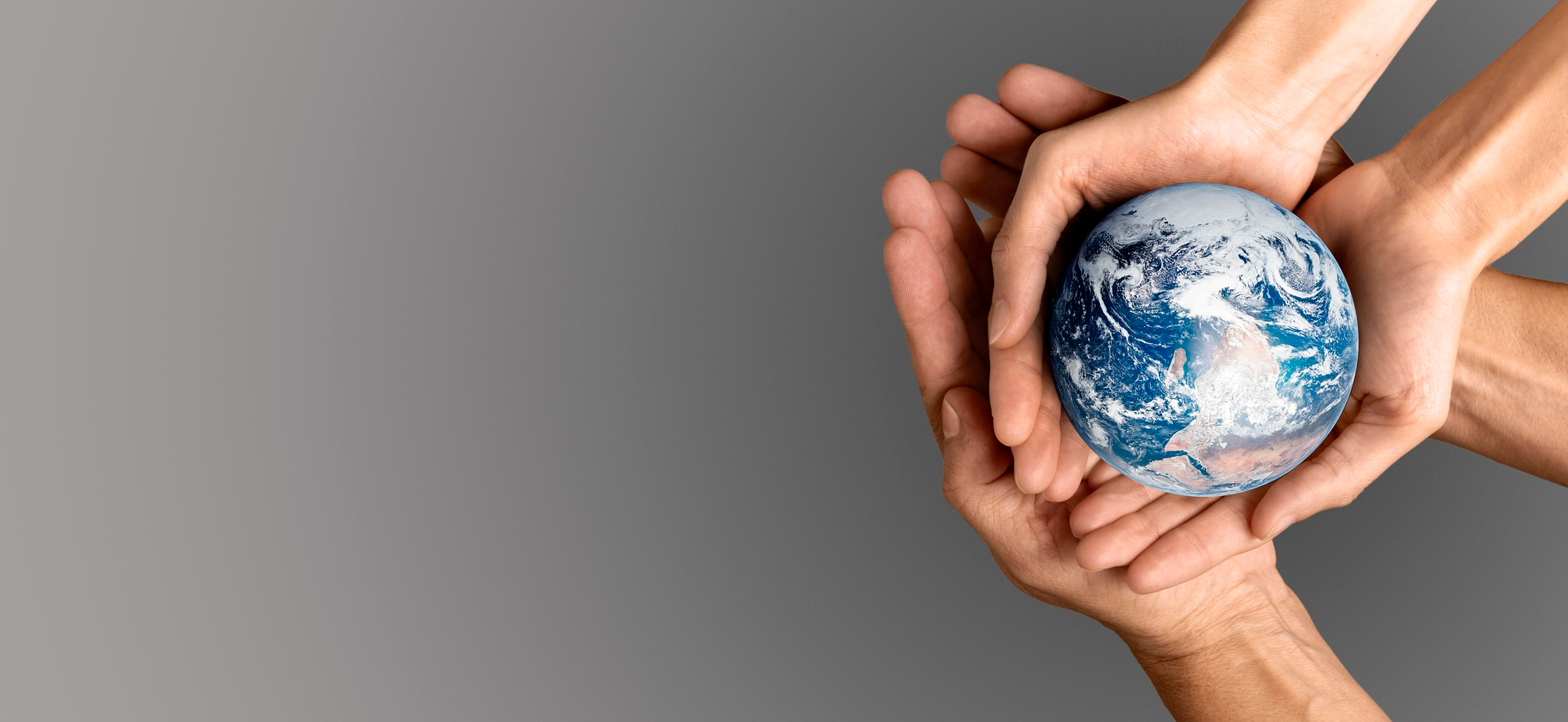 header-image-5